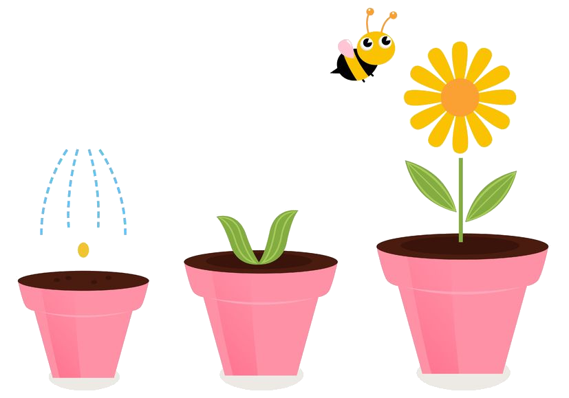 Grow your website with TechHaus Host hosting